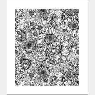 Chrysanthemum 2 Posters and Art